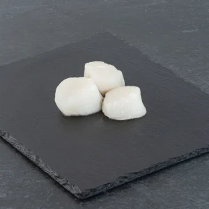 Hokkaidokamussla 10/20 MSC